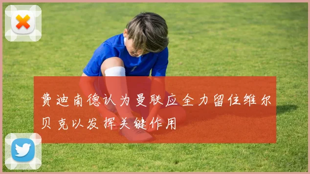 费迪南德认为曼联应全力留住维尔贝克以发挥关键作用