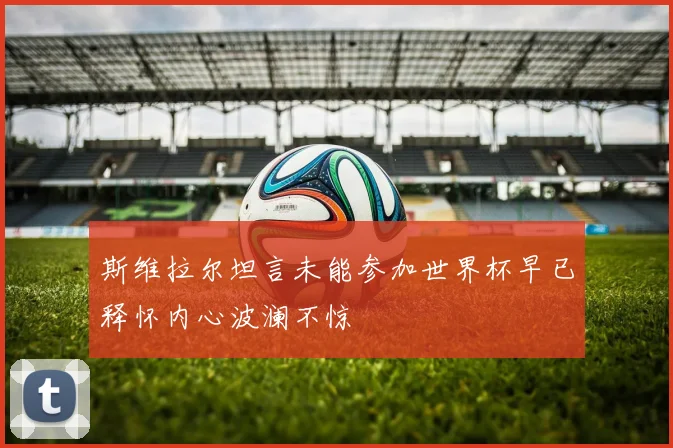 斯维拉尔坦言未能参加世界杯早已释怀内心波澜不惊